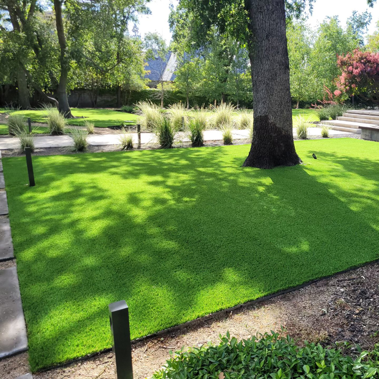 Our Evernatural Classic artificial turf product with landscaping lighting and a tree